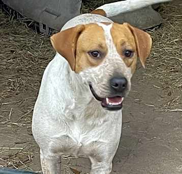 Photo of Sunny