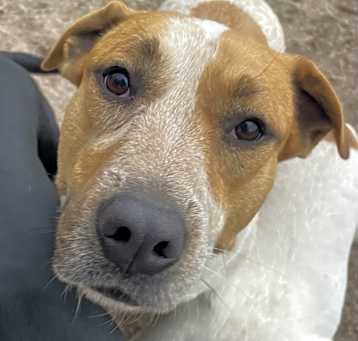 Photo of Georgia