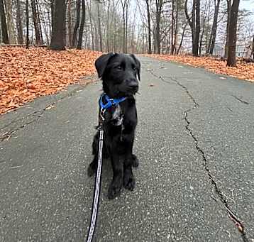 Photo of Cowboy/Zeke