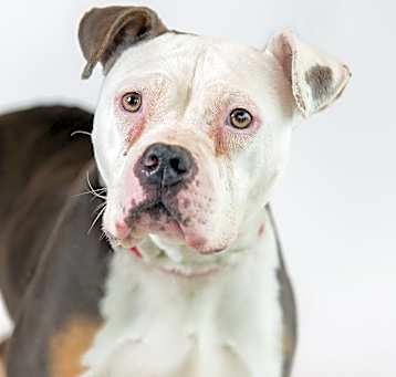 Photo of Glenda