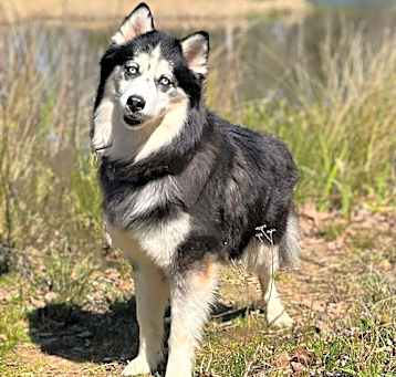Photo of Kino