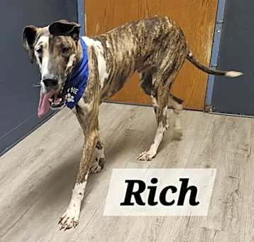 Photo of Rich