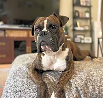 Photo of Bruce