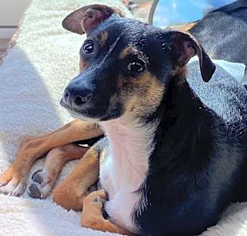 Photo of Zeus