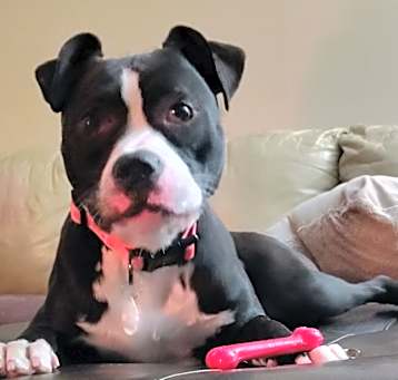 Photo of Diamond