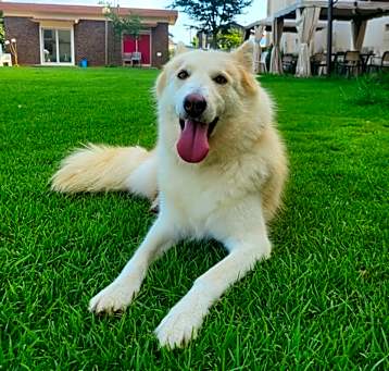 Photo of SEMI