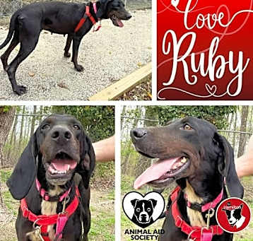 Photo of Ruby