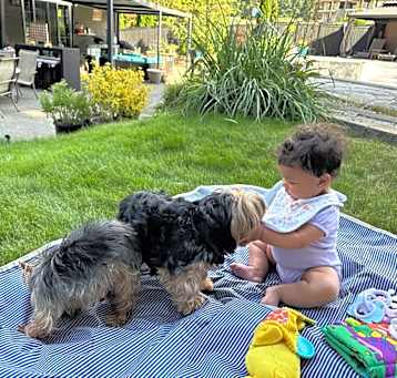 Photo of Bella and Hazel