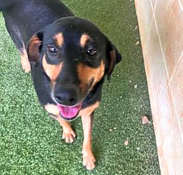 Photo of Phoebe 9926