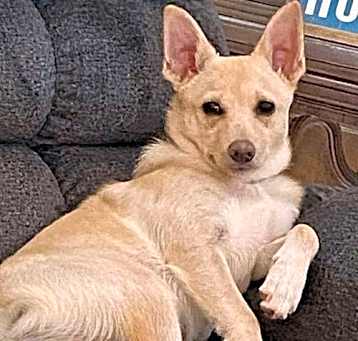 Photo of Butters