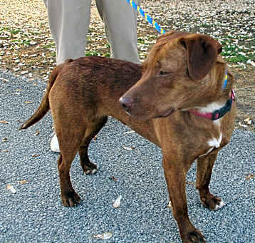 Photo of Mable