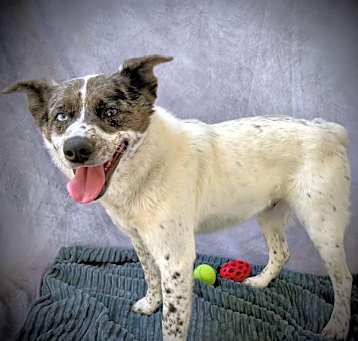 Photo of TULE