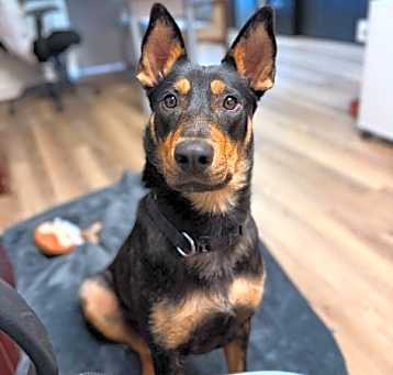 Photo of Sundae