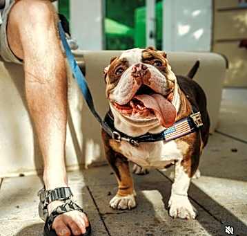 Photo of Tyson
