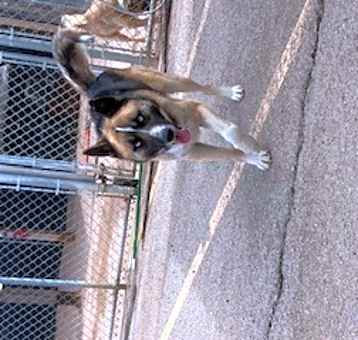 Photo of Zephyr