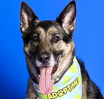 Photo of REMINGTON