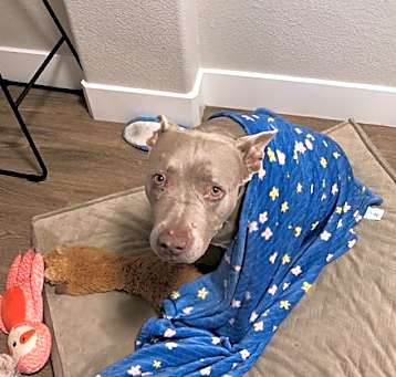 Photo of SWEET ELLA