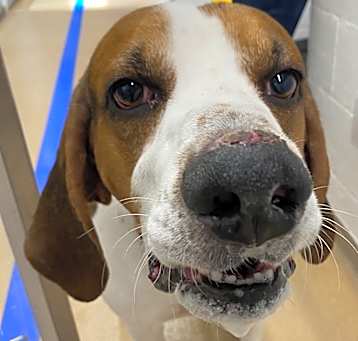 Photo of Jasper