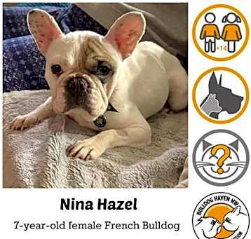 Photo of Nina Hazel