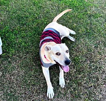 Photo of Sunni