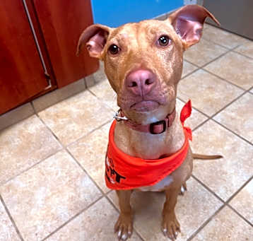 Photo of Daisy