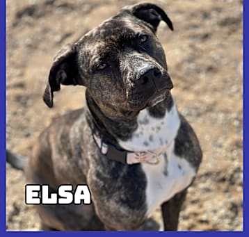 Photo of Elsa
