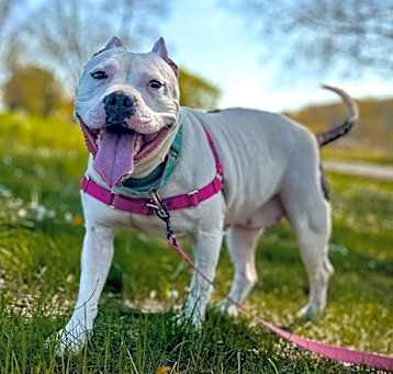 Photo of Peppa