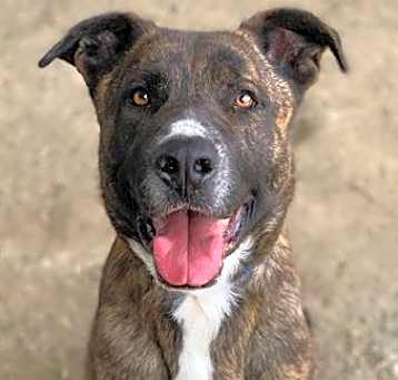 Photo of THOR
