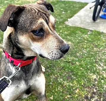 Photo of Polly