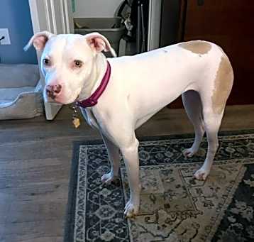 Photo of Jojo