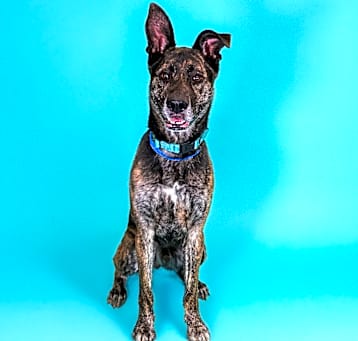 Photo of Twister
