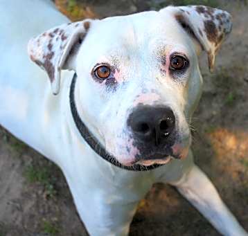Photo of Nellie