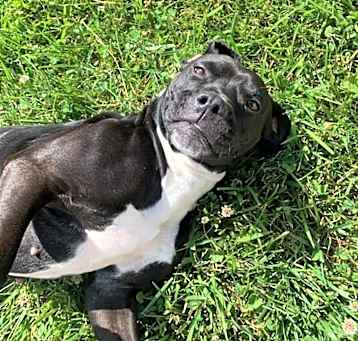 Photo of Diamond