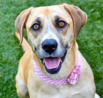 Photo of Thelma