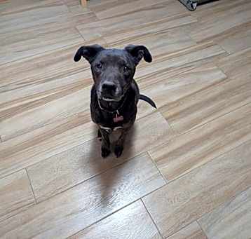 Photo of KRONUS