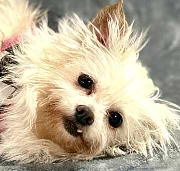 Photo of Anastasia