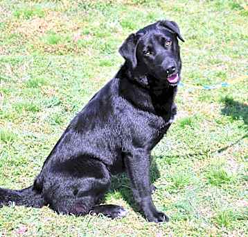 Photo of Ace