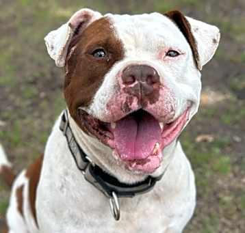 Photo of Benson