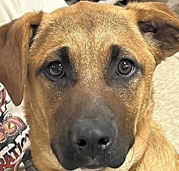 Photo of Chloe