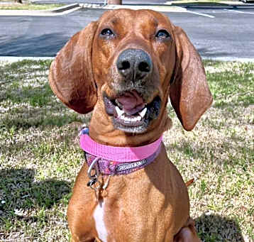 Photo of Ellie