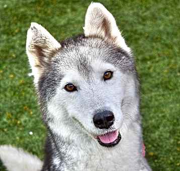Photo of Mitah