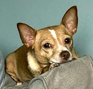 Photo of Dorothy