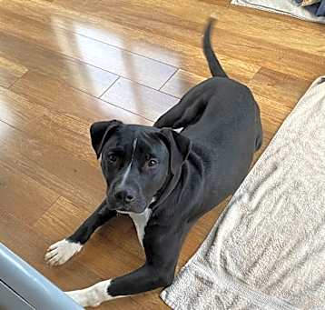 Photo of Jocko