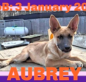 Photo of AUBREY