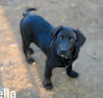 Photo of Isabella