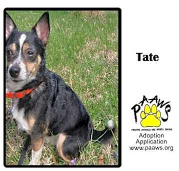 Photo of Tate