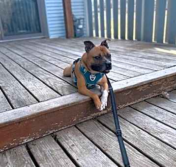 Photo of Jack Jack