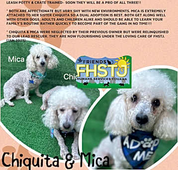 Photo of Chiquita & Mica