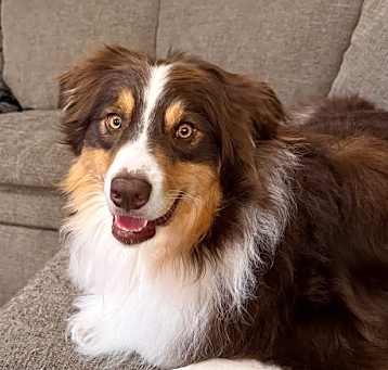 Photo of Jinx