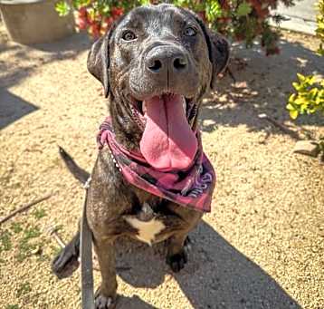 Photo of Kaia